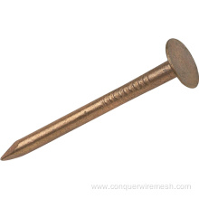Polished Common Iron Nails 3 Inch for Construction